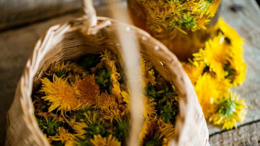 dandelion basket