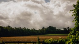 Field with Clouds