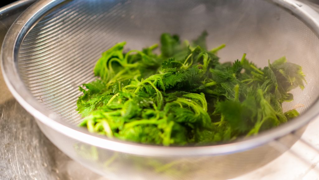 Stinging Nettles Blanched