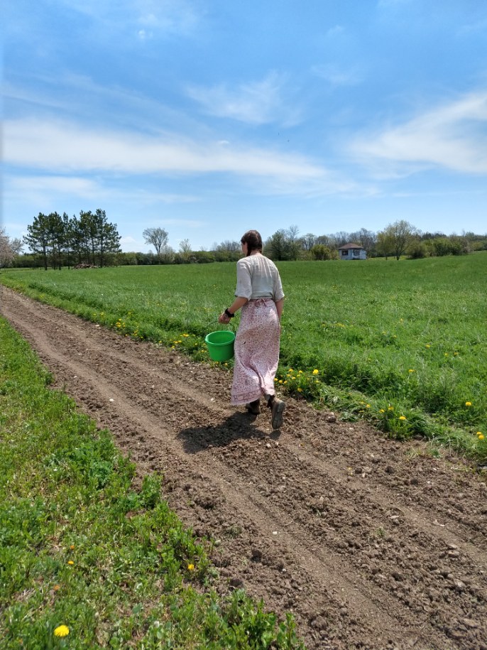 Dayna walking in Field