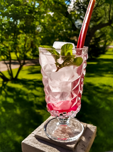 rhubarb shrub drink