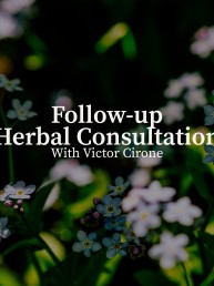 followup herbal consultation image