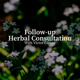 followup herbal consultation image