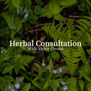 herbal consultation image