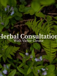 herbal consultation image
