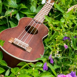 ukulele in flowers