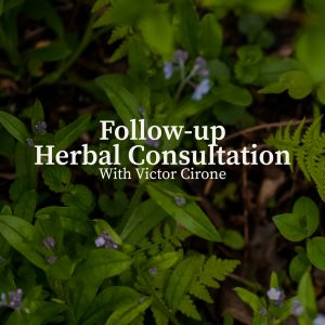 Follow-up Herbal Consultation