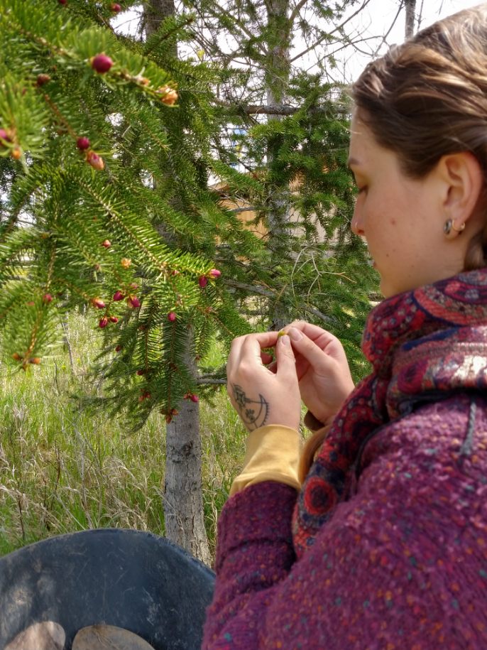 dayna with spruce