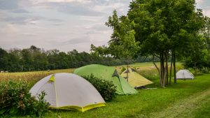 Herb Camp Gathering tents