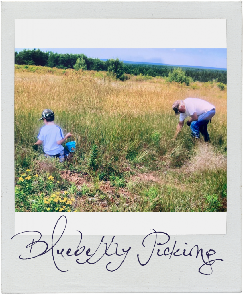 Blueberry Picking in 2007