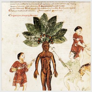 Medicina Antiqua Illustration