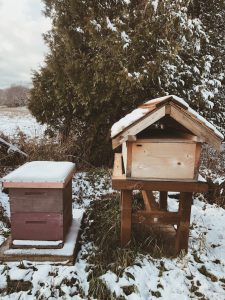 Bee Hive with snow