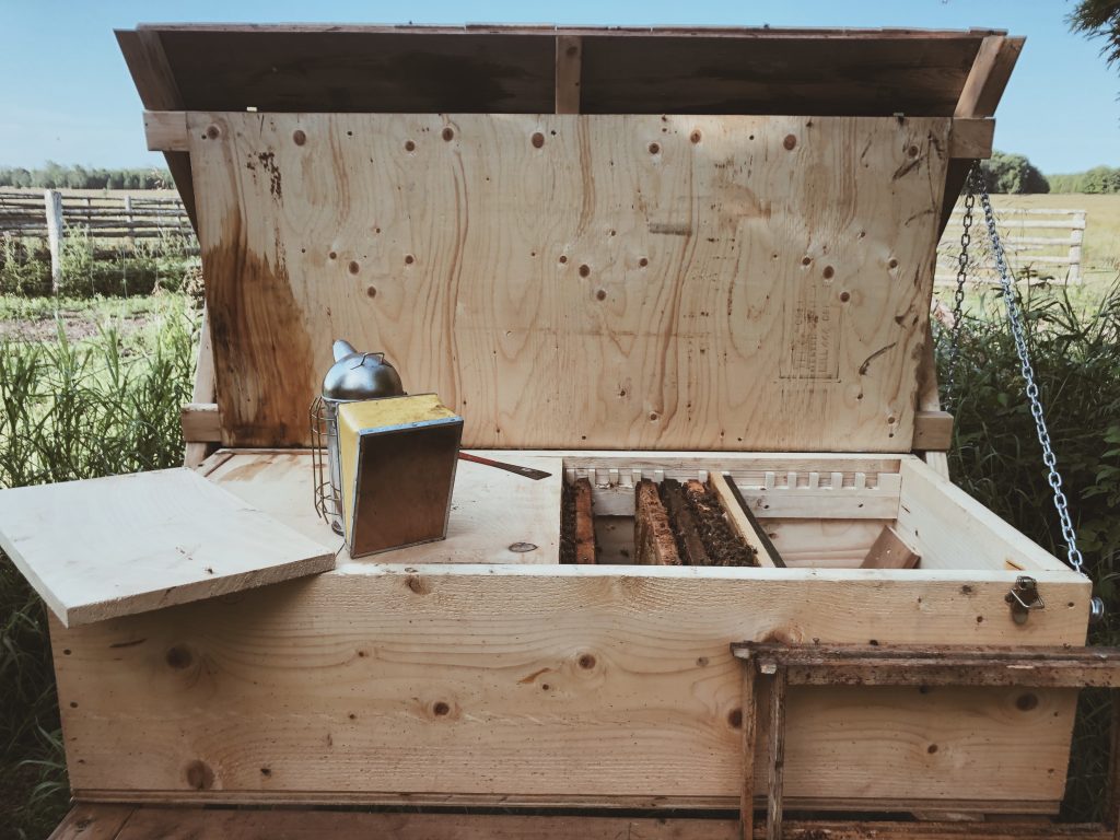 Wide view of the Bee Hive